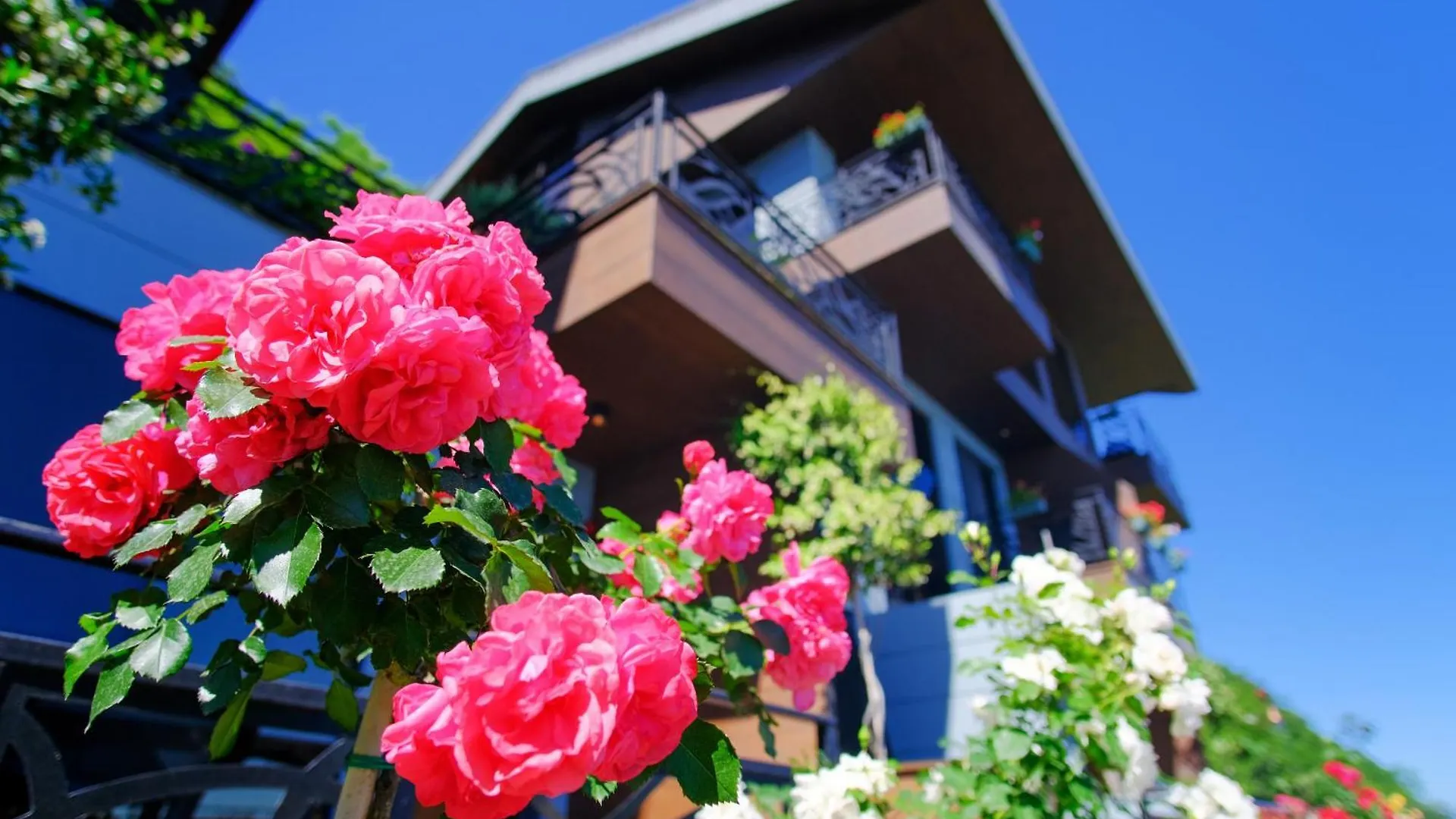 Peerless Villas Hotel Trabzon